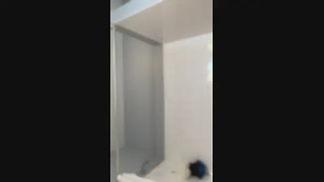 Mexibear online show from July 2026 03:18:02 PM