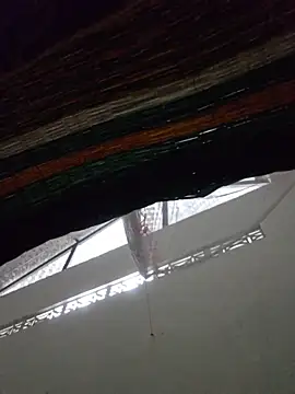 hanameo online show from April 2026 01:52:02 PM