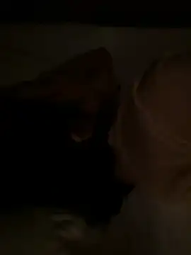 tanhualang001 online show from April 2026 12:05:01 AM