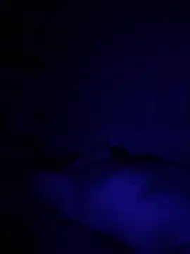 Snapshot of Diversified_Reality chatting on April 2026 10:43:01 AM Diversified Reality online show from April 2026 10:43:01 AM