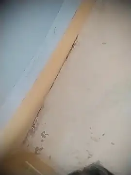 mille20 online show from April 2026 08:12:01 PM