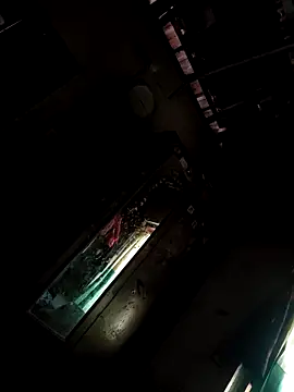 EagerGarment online show from April 2026 03:54:02 AM