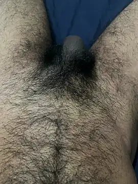 profetabr26 online show from July 2026 06:47:01 AM