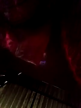 cat-kat online show from March 2026 10:50:01 AM