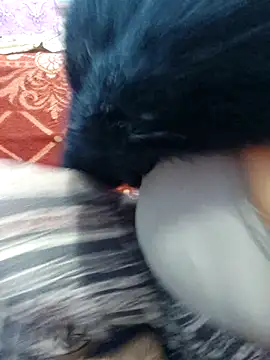 Rufiya khan0 online show from April 2026 03:24:02 AM