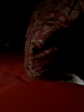 Snapshot of -Bianmi- chatting on April 2026 11:17:02 PM -Bianmi- online show from April 2026 11:17:02 PM