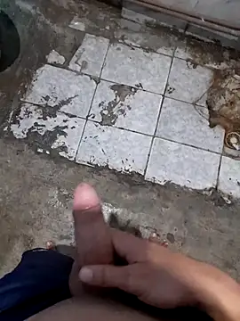 NovinhoTopBrasil online show from March 2026 07:38:01 PM