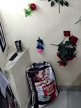 BlushingBunny  online show from April 2026 05:37:01 PM