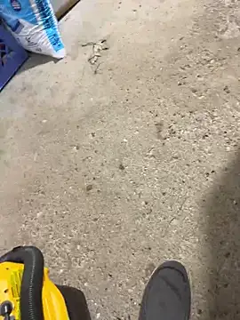 Shawnronald420861 online show from April 2026 03:46:02 AM