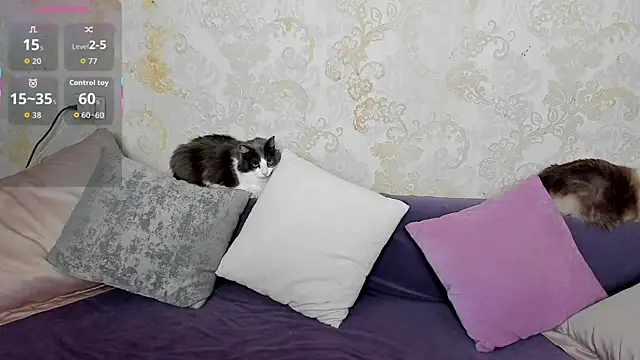 Simply Alex online show from May 2026 01:03:01 AM