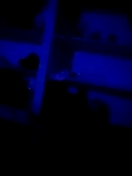 DKD-TELUGU36 online show from April 2026 09:32:01 PM