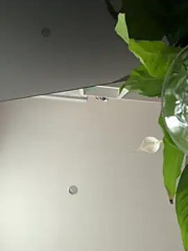 Lindasix online show from April 2026 06:05:01 AM