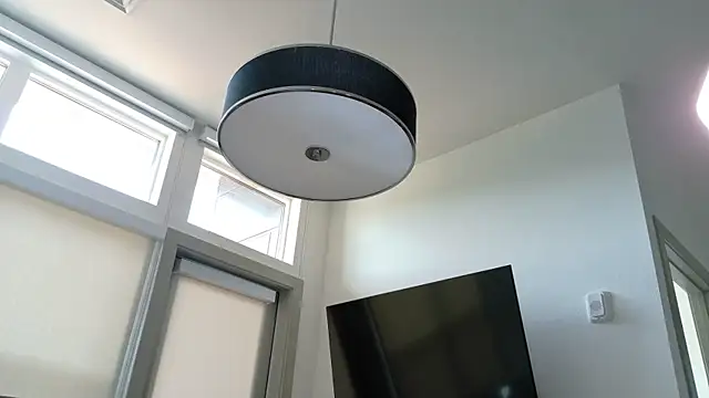 Seagll online show from April 2026 12:18:02 AM