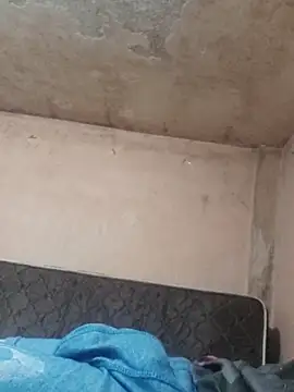 Snapshot of Alcon347 chatting on April 2026 01:18:01 AM Alcon347 online show from April 2026 01:18:01 AM