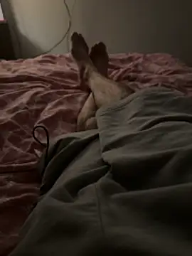 shykinks online show from April 2026 01:18:01 AM