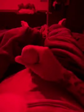 Dstat715 online show from April 2026 06:03:02 AM