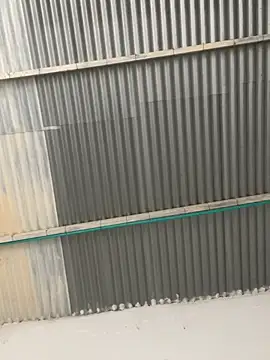 RAMONA and ROGER online show from April 2026 01:34:02 PM