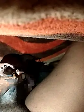 chickelikeme online show from April 2026 02:02:01 AM