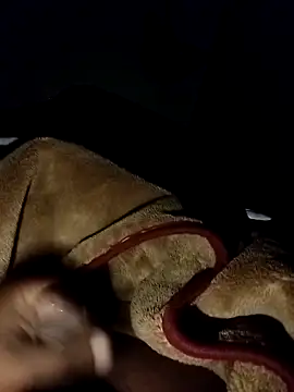 chickelikeme online show from April 2026 01:40:02 AM