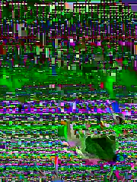jayc23 online show from May 2026 10:09:01 PM