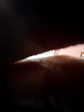 doggy69-dog online show from April 2026 09:27:01 AM