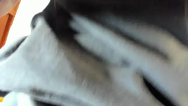 pipe monstercock online show from May 2026 08:17:02 PM