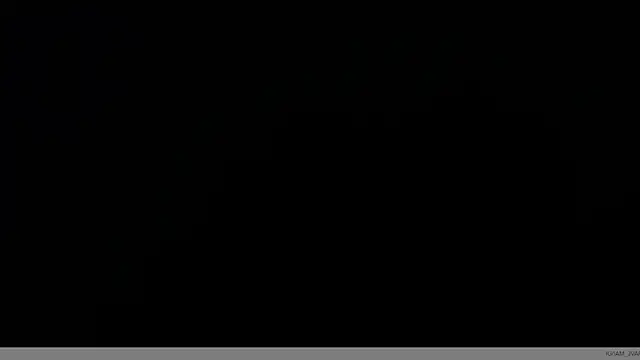Amir guy  online show from June 2026 02:00:01 PM