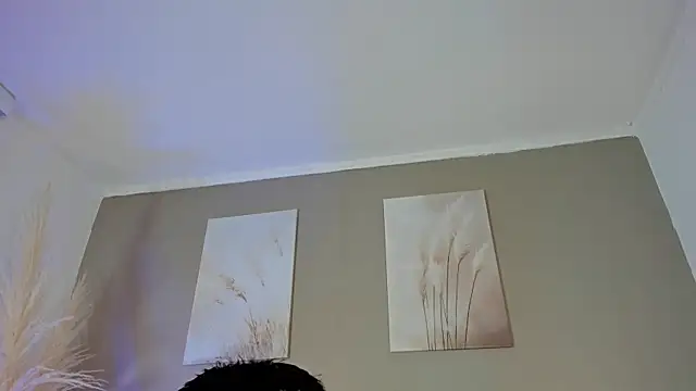 Snapshot of Alexander_Diazz chatting on June 2026 02:12:01 PM Alexander Diazz online show from June 2026 02:12:01 PM