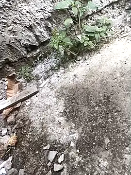 Rocky pune online show from April 2026 03:40:02 AM