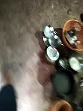 Rocky pune online show from April 2026 01:29:02 AM