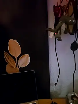 Kwiatywmroku online show from April 2026 03:19:01 AM