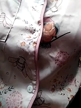 giahan1 online show from April 2026 12:50:02 AM