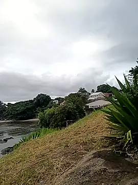 rogeriobastospqdt online show from April 2026 07:42:02 PM