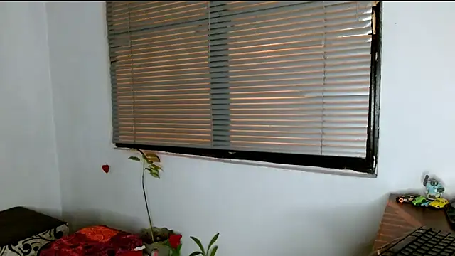 alisonnturbay online show from May 2026 04:00:02 AM