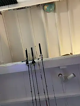 Vexer30 online show from April 2026 02:48:01 PM