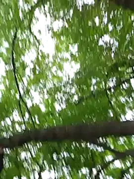 keyott online show from May 2026 03:56:02 PM