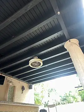 youngwildfreee online show from April 2026 08:26:02 PM