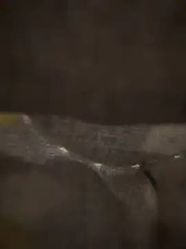 xezie online show from April 2026 10:00:01 AM