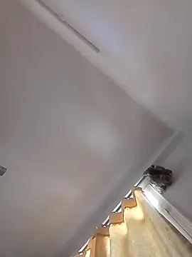 rathorejii online show from April 2026 05:56:02 AM