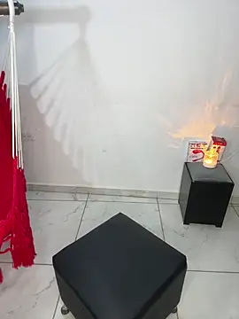 Snapshot of Sarita_21 chatting on April 2026 11:04:01 AM Sarita 21 online show from April 2026 11:04:01 AM