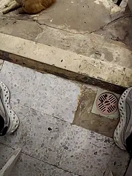 SwoppedEyedrop online show from April 2026 11:05:02 AM