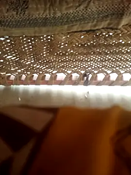 jirri sexe online show from July 2026 12:23:01 PM
