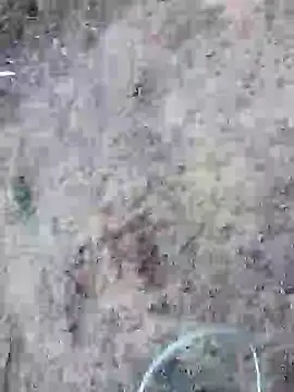 rocky play boy  online show from May 2026 11:53:02 AM