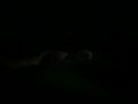 Snapshot of hunglikemeee chatting on April 2026 01:17:02 AM hunglikemeee online show from April 2026 01:17:02 AM