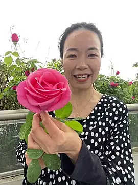 Snapshot of fafade2588 chatting on April 2026 08:30:01 AM fafade2588 online show from April 2026 08:30:01 AM