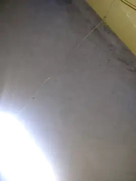 maicol6699 online show from April 2026 11:38:01 AM