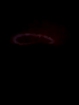 teluguabbai4567 online show from April 2026 11:55:01 PM