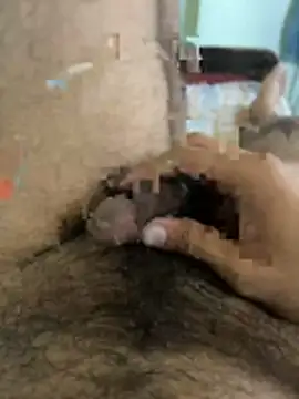 warm milk69 online show from April 2026 04:02:02 AM