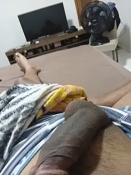 tinhocomedor online show from July 2026 08:25:02 AM