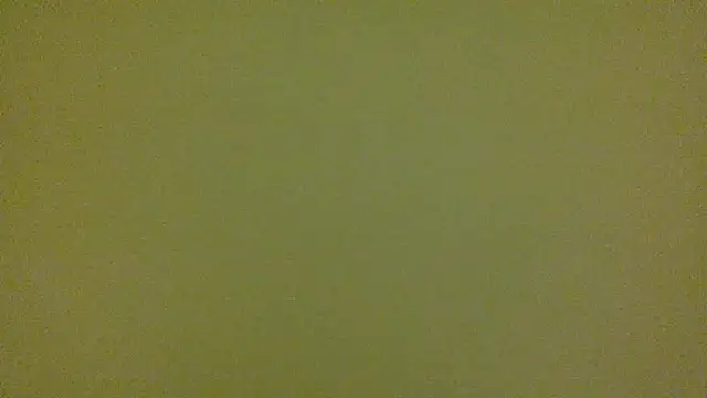 average jack online show from April 2026 11:29:02 PM